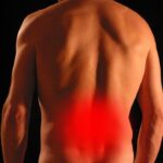Fascia toracolumbar: tratamiento en Deporgest basado en el movimiento